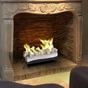 Regal Flame 24 Inch Convert to Ethanol Fireplace Log Set with Burner Insert from Gel or Gas Logs (Birch)